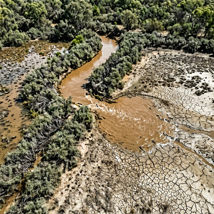 Aerial view of brown floodwater pushing through lignum corridors into a dry lagoon