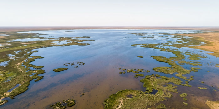 Aerial view of Narran Lakes at peak inundation, vast shallow water stretching to the horizon