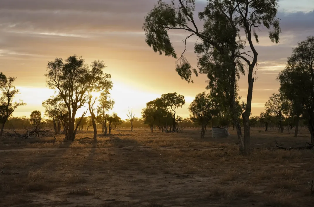 A new dawn over the Lower Balonne landscape, suggesting new opportunities.