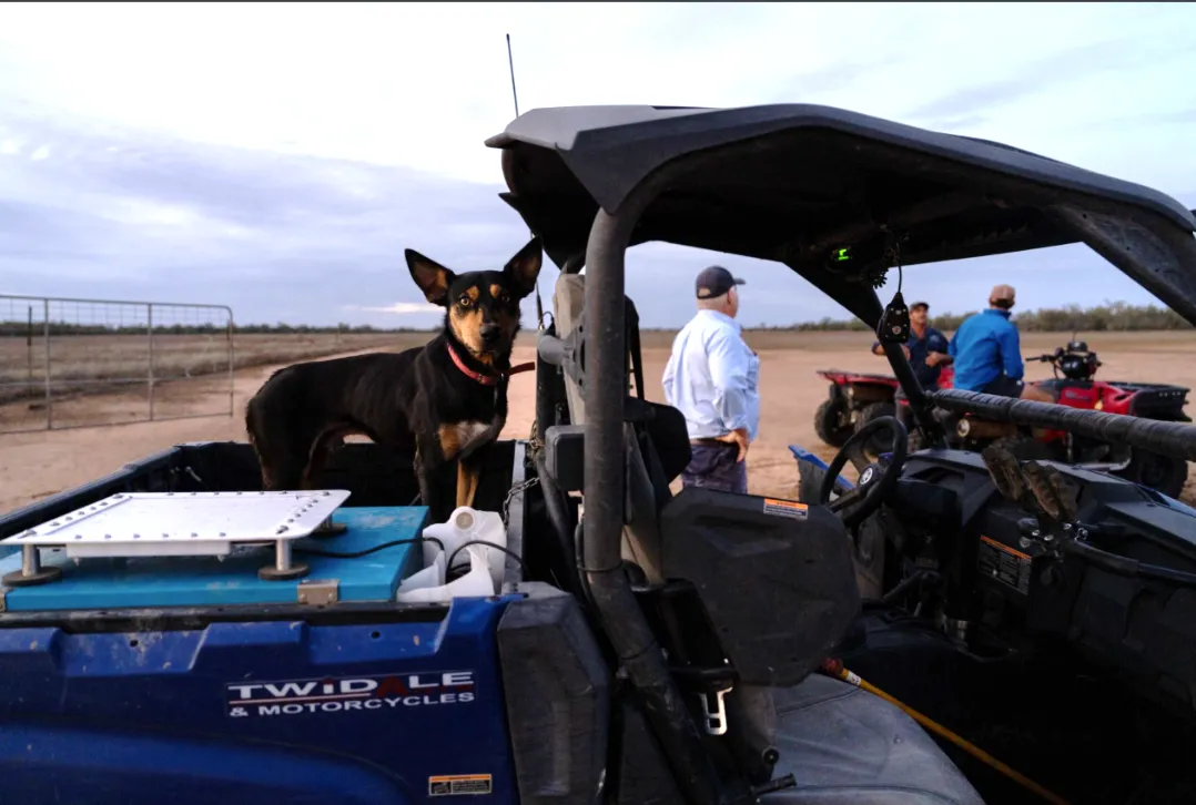Being along for the ride and ready to offer a hand or paw when needed.